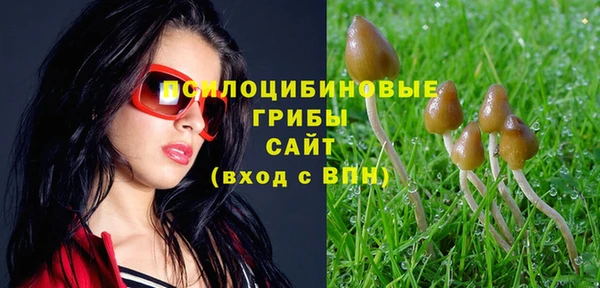 кокс Абдулино