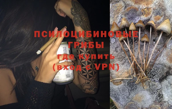 эйфоретик Алзамай