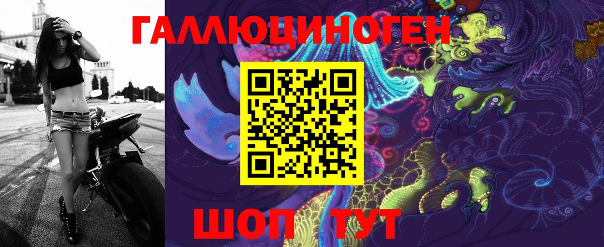 Псилоцибиновые грибы Cubensis Благовещенск